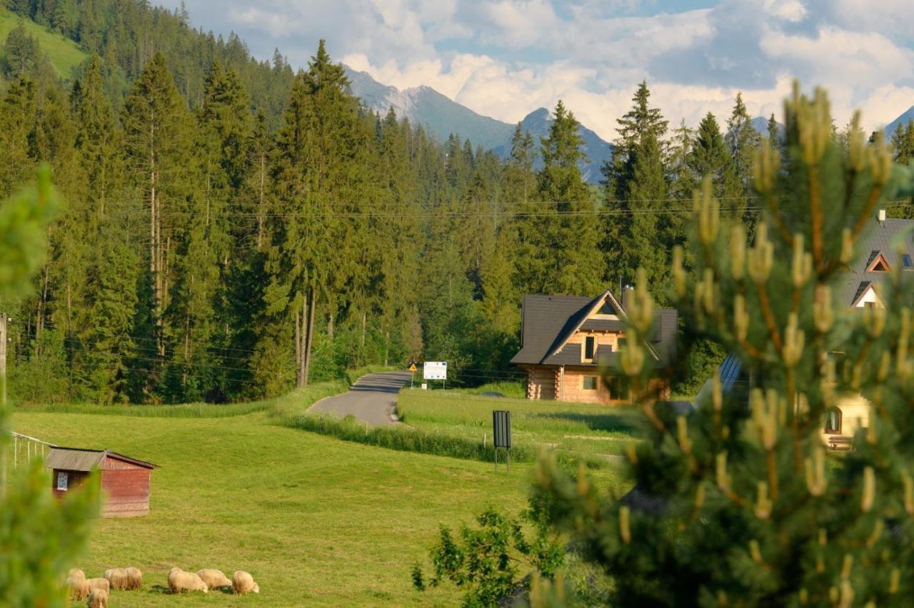 Na Kosnych Appartement Poronin Buitenkant foto