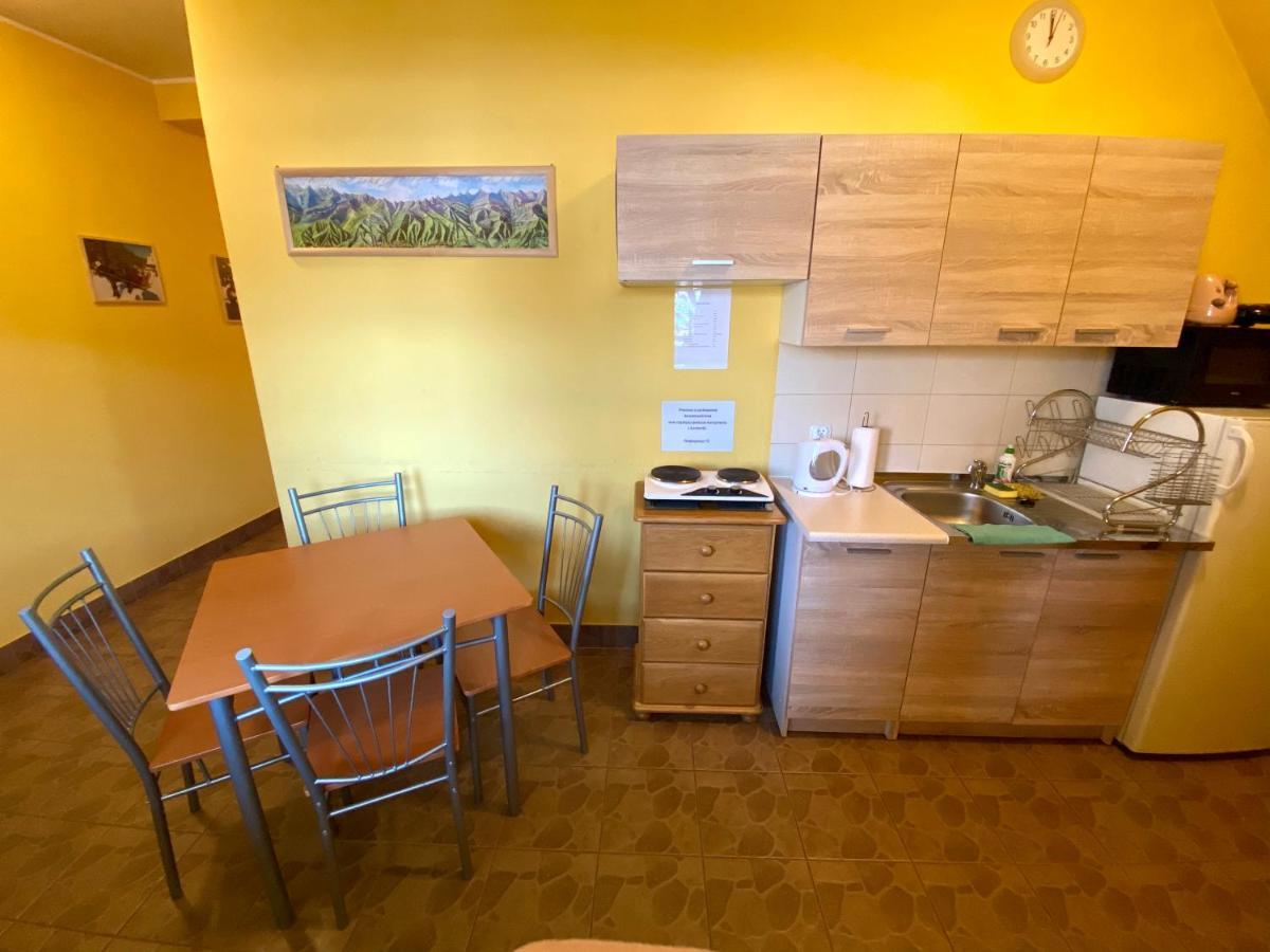 Na Kosnych Appartement Poronin Buitenkant foto